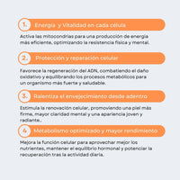 Liposomal NAD+ & Trans-Resveratrol
