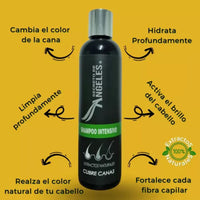 Shampoo Angeles Cubrecanas + 2 OBSEQUIO 🖤🧔🏻♀️
