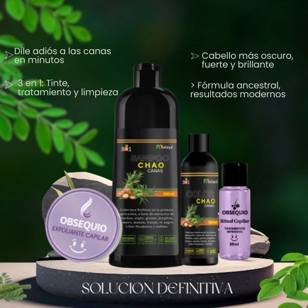 Encabezado