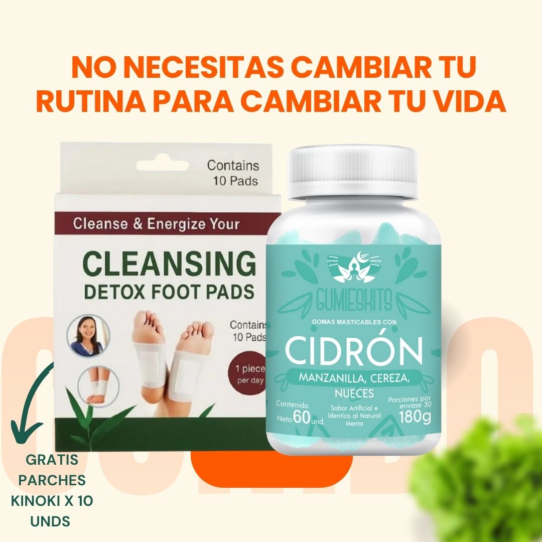 Encabezado
