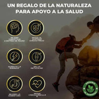 Shilajit + Rhino + Choco + Vi King – Energía, Potencia y Sabor en Cada Goma 💪🔥