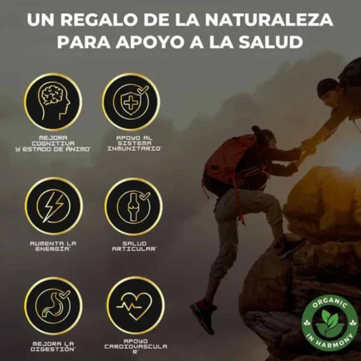 Shilajit + Rhino + Choco + Vi King – Energía, Potencia y Sabor en Cada Goma 💪🔥