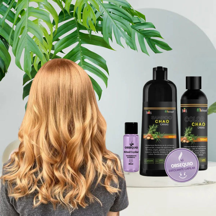 Chao Canas Shampoo + Tratamiento
