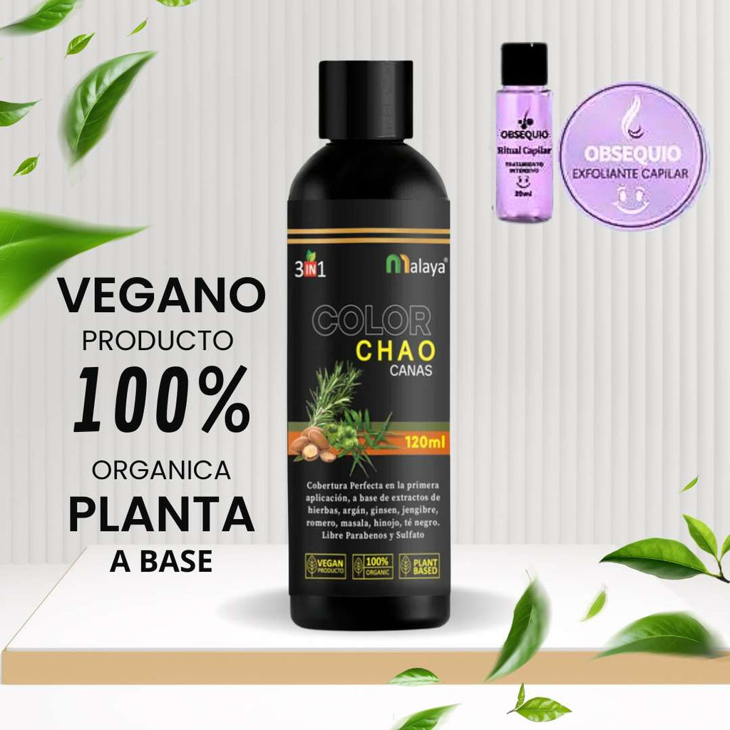 Chao Canas Shampoo + Tratamiento – Tienda Express