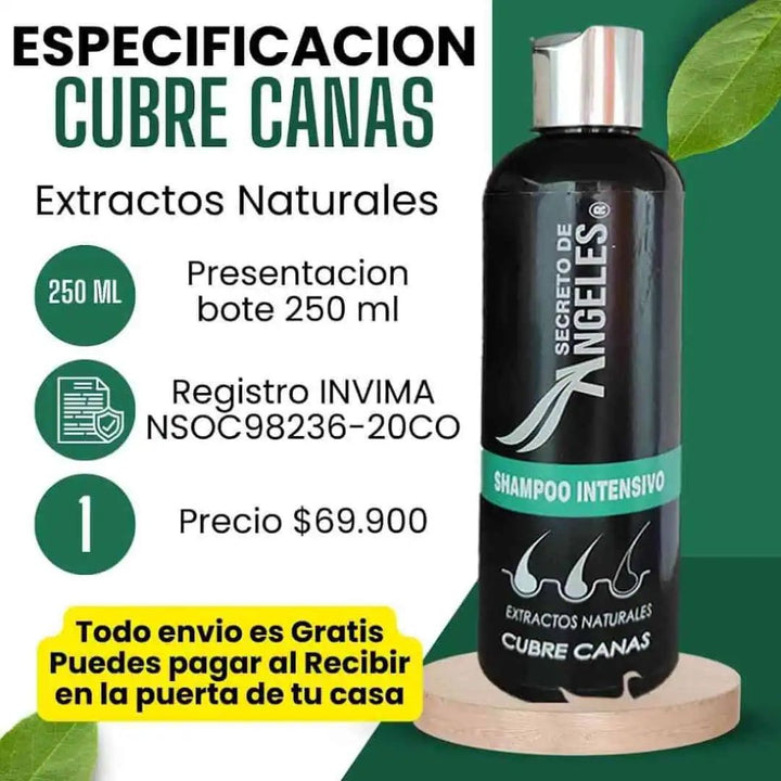 Shampoo Angeles Cubrecanas +  2 OBSEQUIO 🖤🧔🏻‍♀️