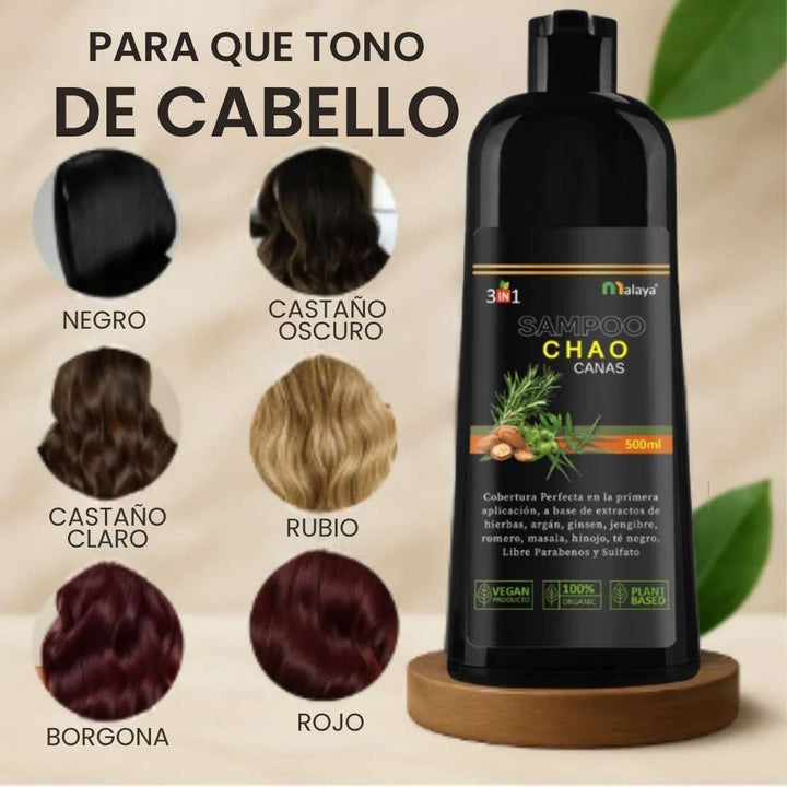 Chao Canas Shampoo + Tratamiento