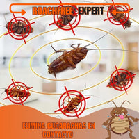 RoachFree Expert