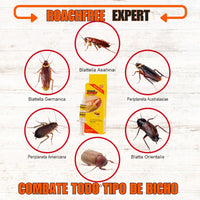 RoachFree Expert