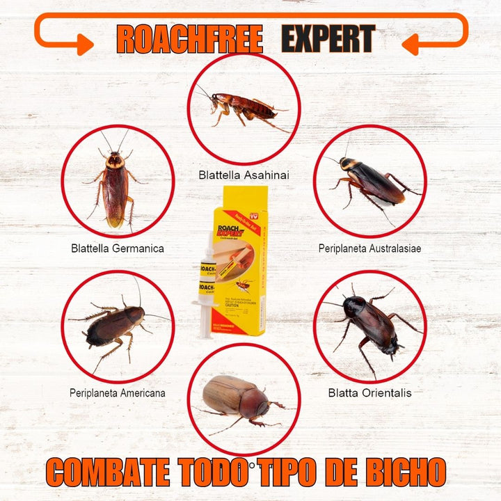 RoachFree Expert